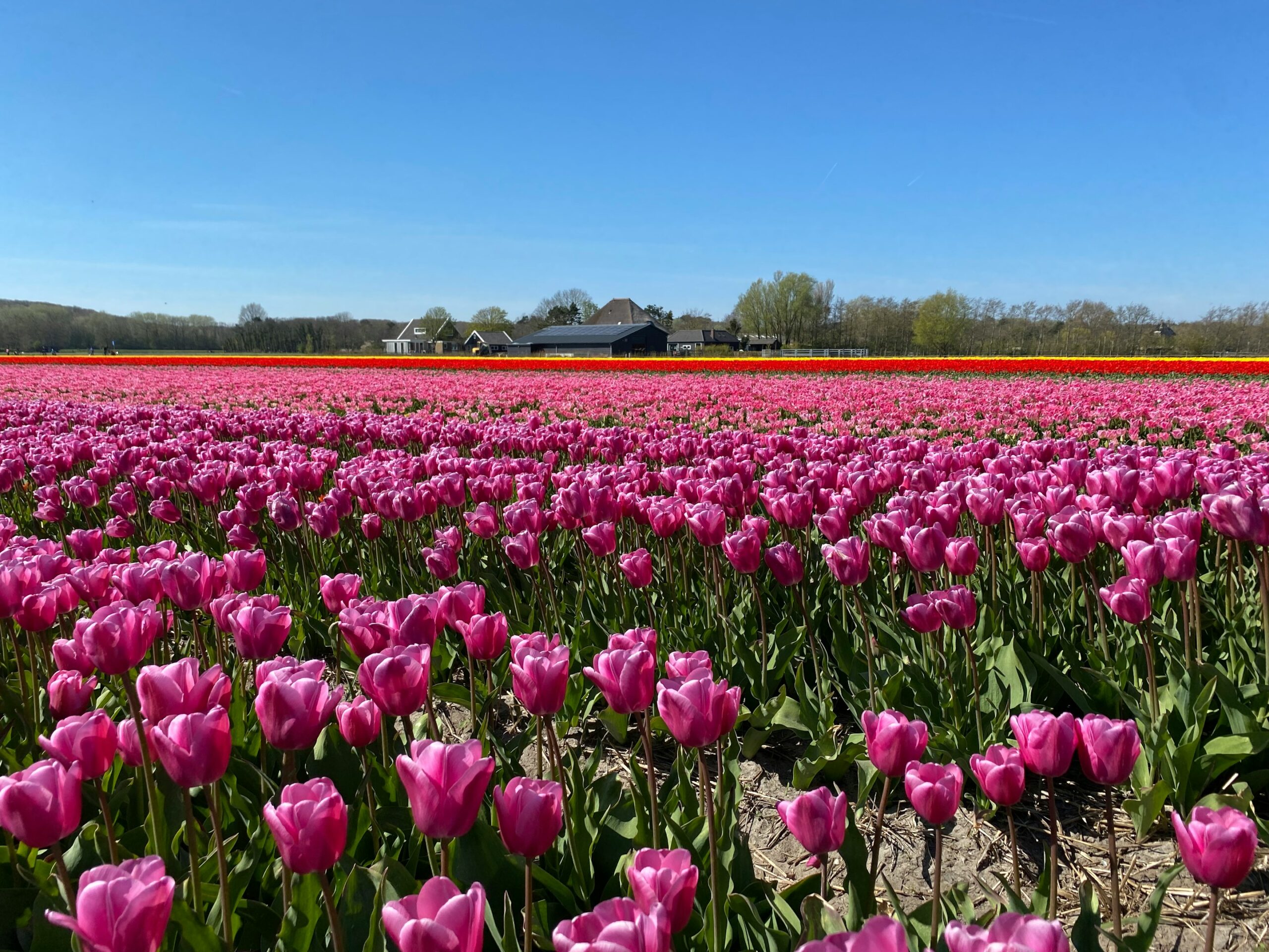 C53cac80c9ab33182acb23435df301a3ccf95116