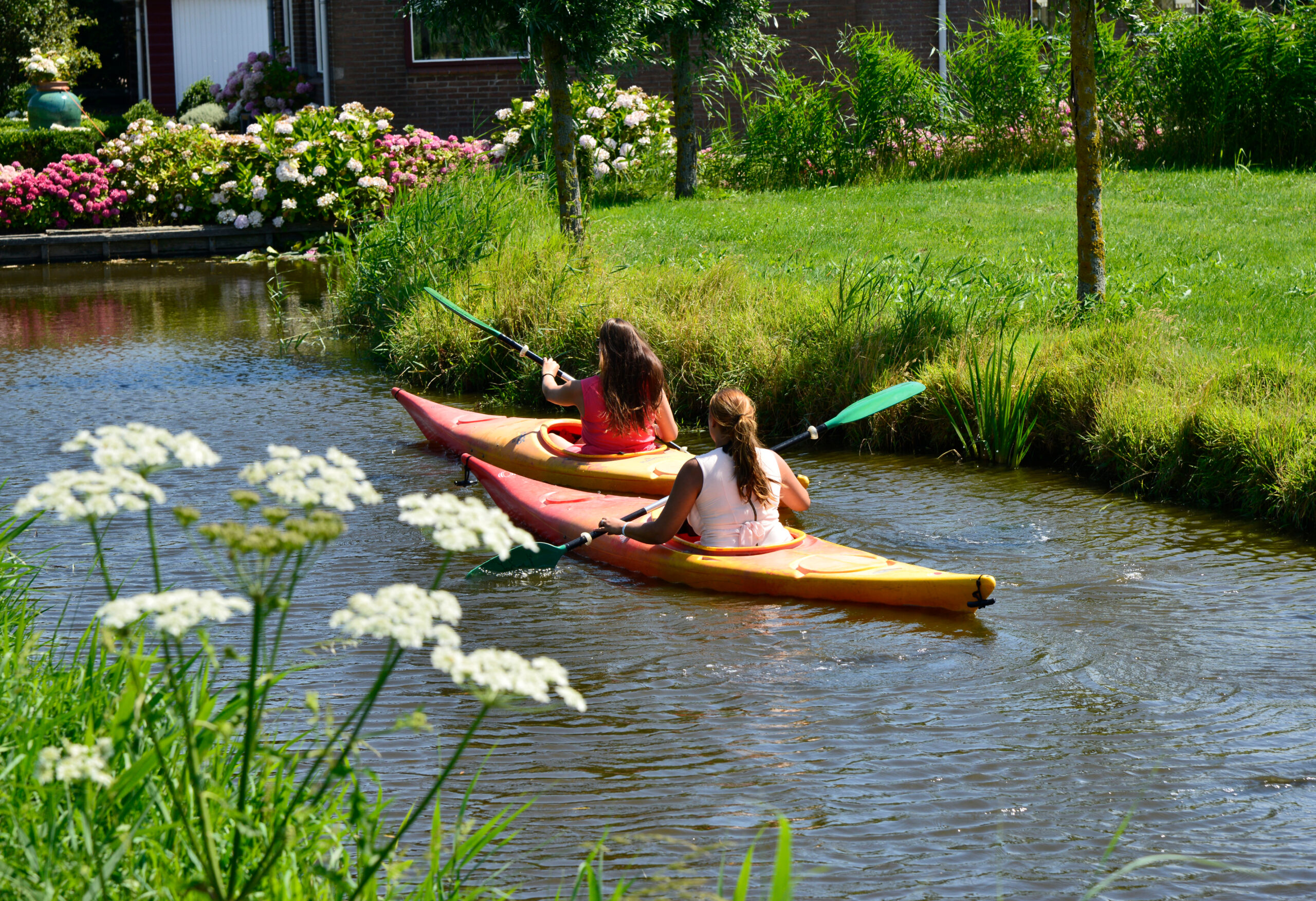 F5aadc8d305b8fd3260f456e206009a0eb49c4f3